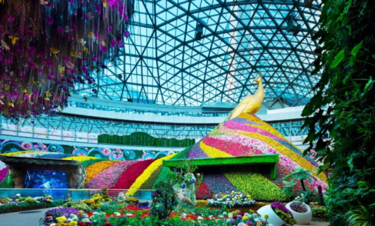 首页| 9001cc金沙集团以诚为本官网