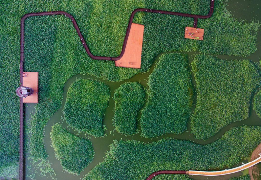 首页| 9001cc金沙集团以诚为本官网