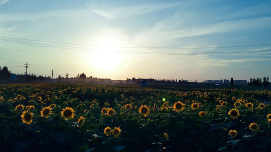 首页| 9001cc金沙集团以诚为本官网