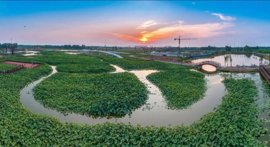 首页| 9001cc金沙集团以诚为本官网